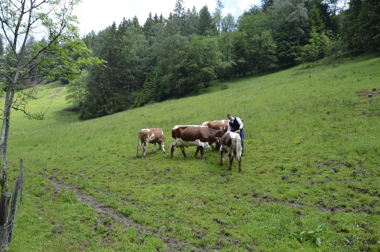 Panoramapension Lerchner Bad Kleinkirchheim Exterior foto